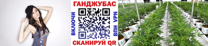 АМФЕТАМИН Губкин