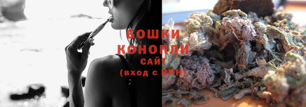 СК Бородино
