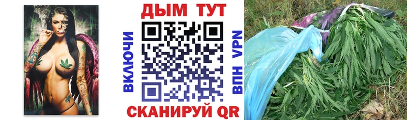 Каннабис конопля Губкин